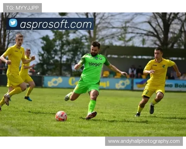 开云体育网页提供的多样化体育赛事直播，在线观看体验与高清画质保障