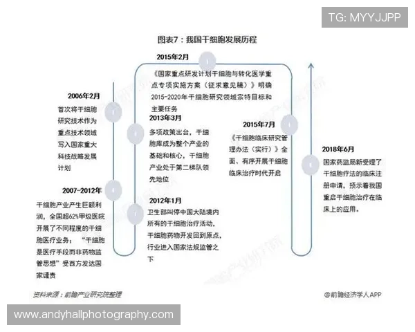 开云电子视频：全面解析电子视频行业的未来发展方向与市场潜力