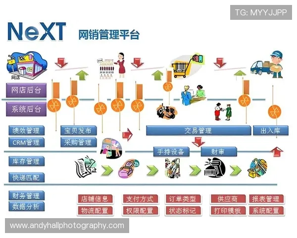 开云网络在电子商务平台中的应用与性能提升路径研究