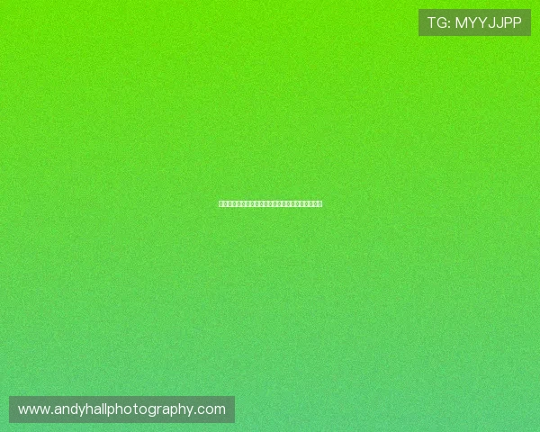 如何通过开云公司官网获取最新行业资讯与合作机会