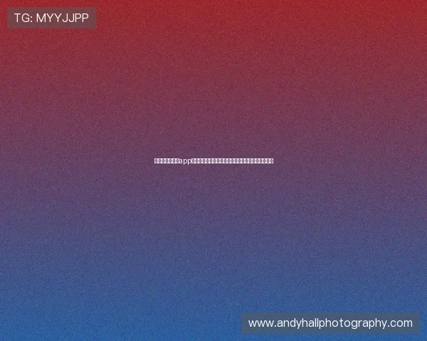 开云足球手机版app下载为用户提供专业的足球分析和实时比分更新服务