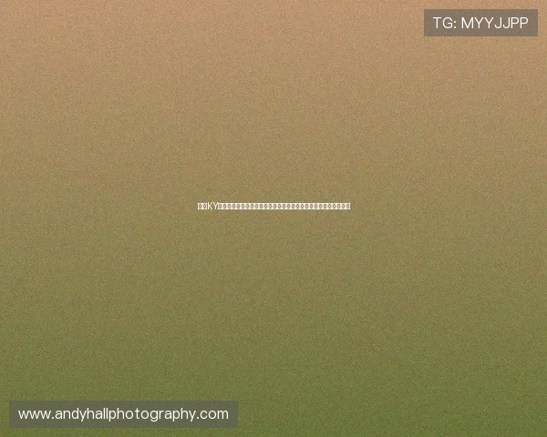 探索KY体育真人手机版最新玩法，享受丰富多样的真人游戏娱乐体验指南