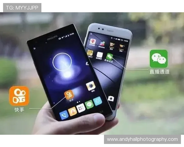 开云官网入口更新公告及维护通知，确保玩家及时掌握最新入口信息和系统状态