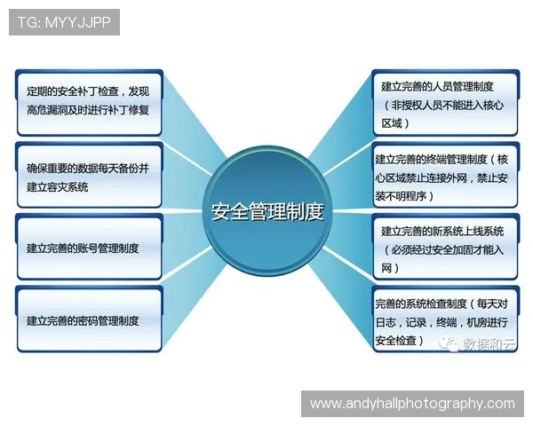开云平台登录入口安全登录指南保障账号信息安全的实用技巧