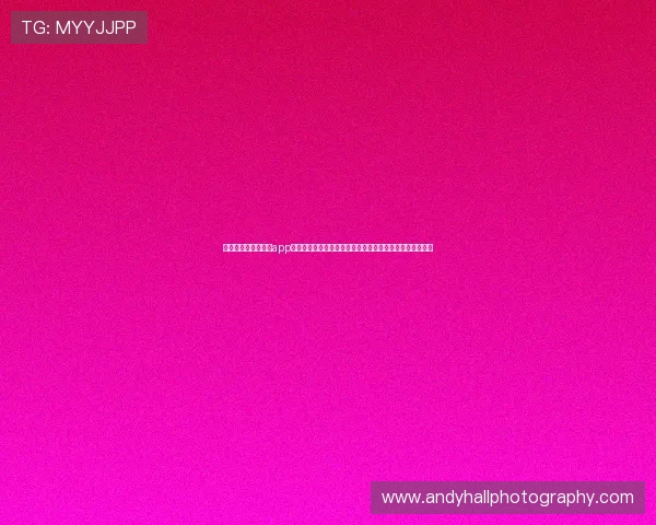 开云网页版在线登录app最新版本下载与安装教程，确保玩家顺利体验丰富游戏内容