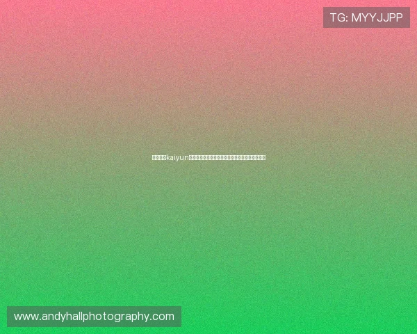 探索开云kaiyun网页版体验的多样功能满足不同玩家的个性化需求