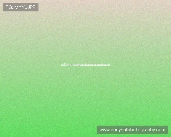 获取Kaiyun开云app网址的最全途径，确保每次都能顺利进入游戏