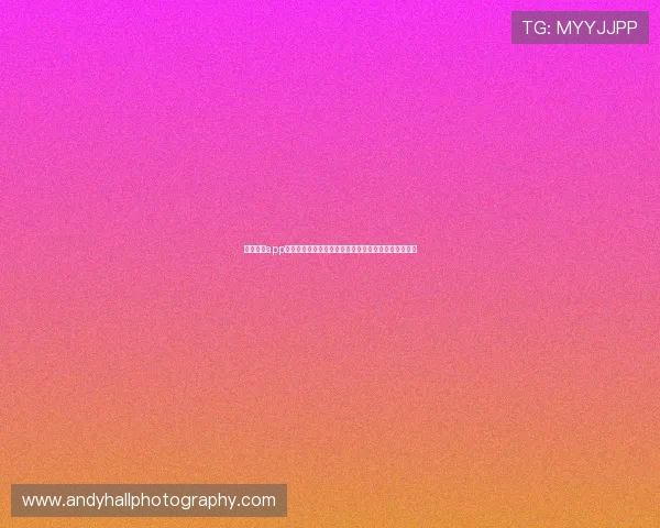 云开体育app下载链接带你全面了解世界杯赛事最新动态与精彩集锦