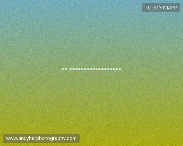 云开体育app官方下载安装最新版本，享受高清流畅的体育赛事直播体验与实时比分更新