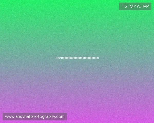 开云KY真人版全站登录安全指南，保障玩家账号信息安全与游戏资产安全